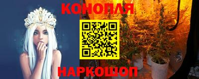 гидра Будённовск