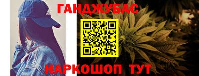 гидра Будённовск
