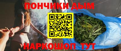 гидра Будённовск