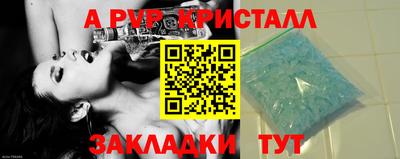 гидра Будённовск
