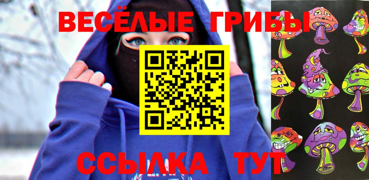 Переславль-Залесский  Псилоцибиновые грибы Psilocybine cubensis  купить наркотики сайты  Вход с VPN 